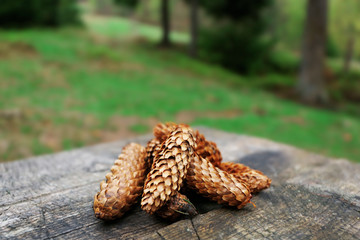 Few pine cones on wooden table, closeup