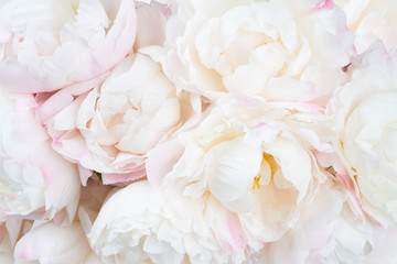 Obrazy na Plexi  Piękne tło kwiatowy