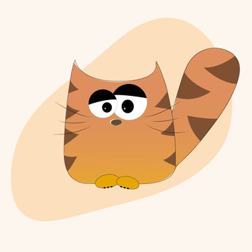 Sad cat