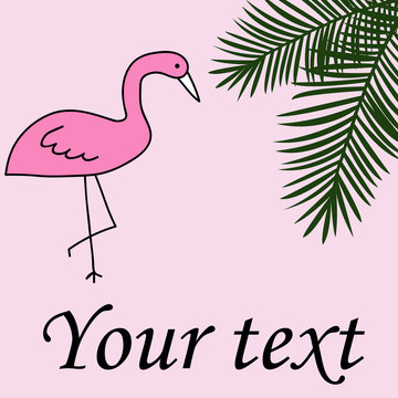 Flamingo palm leaves summer background card with text vector