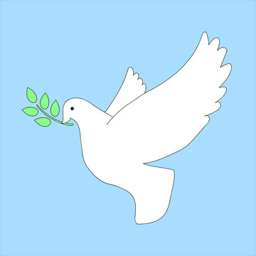 white dove peace branch vector