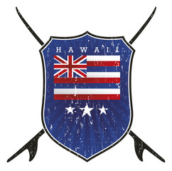 hawaii surf shield with flag