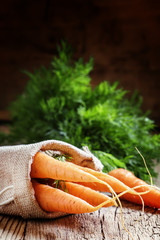 Harvest of carrots in a canvas bag, vintage wooden background, r