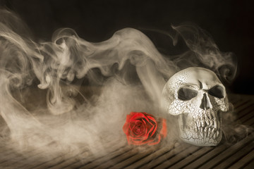 Human skull with red rose and smoke