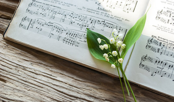 Alte Musiknoten, Notenbl&auml;tter mit Maigl&ouml;ckchen (Convallaria majalis) auf Treibholz / Holz Hintergrund