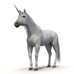 Obraz na płótnie Canvas Unicorn on White 3D Illustration