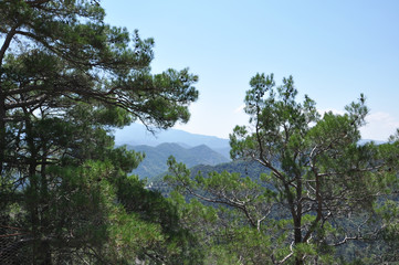 view from the mountains