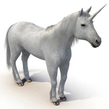 Unicorn on White 3D Illustration