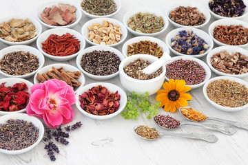 Flower and Herb Medicine