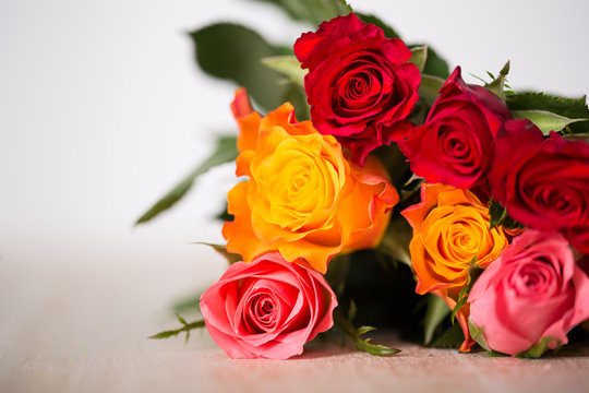 157 BESTE "Gelbe Rosen" BILDER, STOCK-FOTOS & -VEKTORGRAFIKEN | Adobe Stock