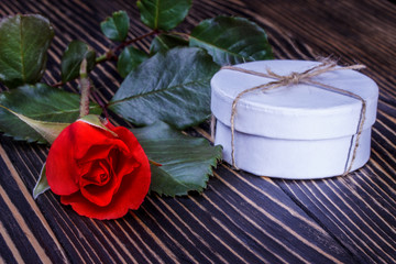 Gift box with beautiful rose on wooden background