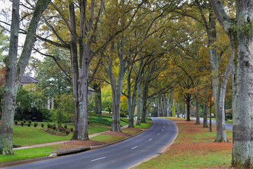 Fototapeta na wymiar Queens Road West in Charlotte, North Carolina in Autumn