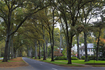 Queens Road West in Charlotte in the Fall Season
