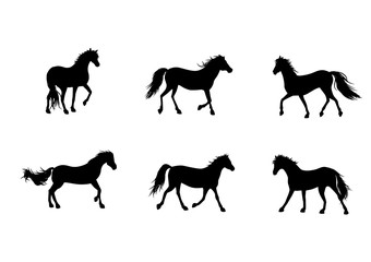 Six horses silhouettes