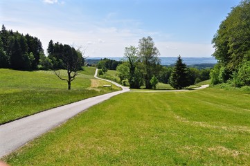 Fototapeta na wymiar Feldweg auf der Felsenegg - Adliswil mit Blick ins Aargau, Schweiz