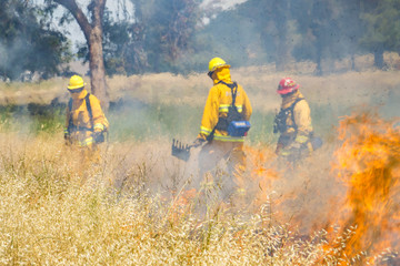 Firefighter Fighting Wildland Forest Grass Fire