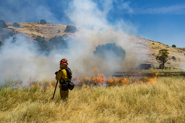 Firefighter Fighting Wildland Forest Grass Fire