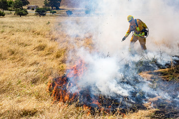 Obraz premium Firefighter Fighting Wildland Forest Grass Fire
