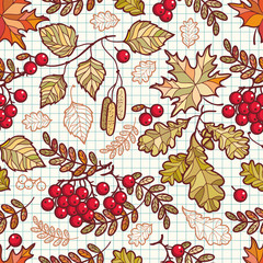 Seamless pattern. Autumn leaf. Rowan. Maple. Birch. Oak.