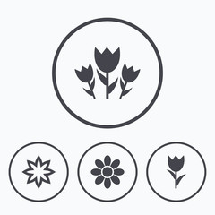 Flowers icons. Bouquet of roses symbol.