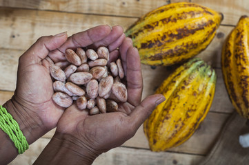 Agricultor de cacao