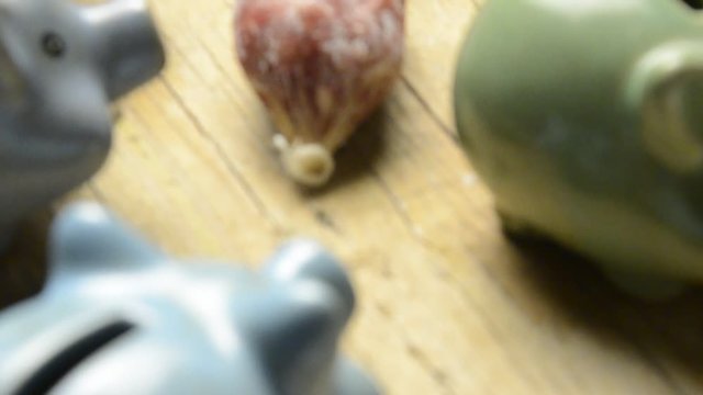 Carne de ca&ntilde;&oacute;n Topovsko meso Tykinruoka Kan&oacute;nenfutr Cannon fodder Пушечное мясо Carne da cannone בשר תותחים Kanonenfutter Chair &agrave; canon