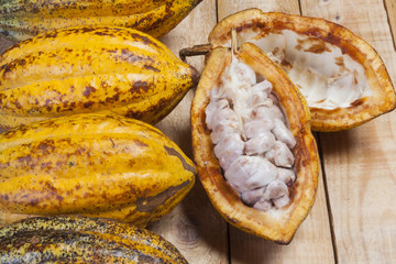 Cacao