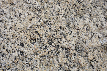 Stone texture