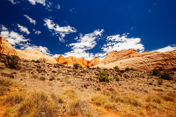 Fototapeta premium The Hickman Bridge Trail, Capital Reef National Park, Utah, USA