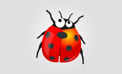 Ladybug Illustration and Vector Design