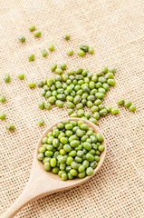 Healthy nutrition green raw organic mung beans.