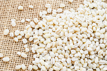 pearl barley seeds.