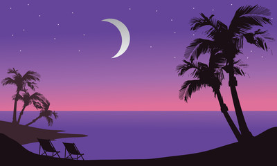 Fototapeta na wymiar At night beach scenery silhouette