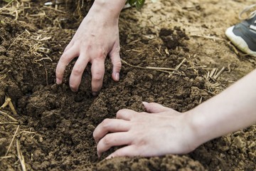 Woman hands digging ground