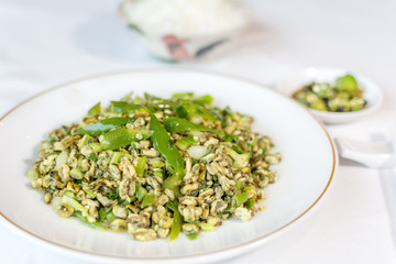 Stir fried clams with roasted chili the delicious Thai food. 
The scientifically mean shellfish snapper, horse mussel, musculus senhousia, a small variety of sea mussel, genus mytilus,