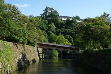 Fototapeta na wymiar 夏の和歌山城