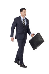 a handsome businessman with a briefcase