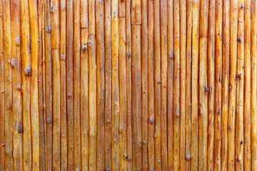 Wooden log Background