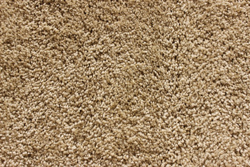 Fragment of material background beige carpet