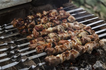 Barbecue skewers with meat