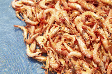 Dried Shrimps