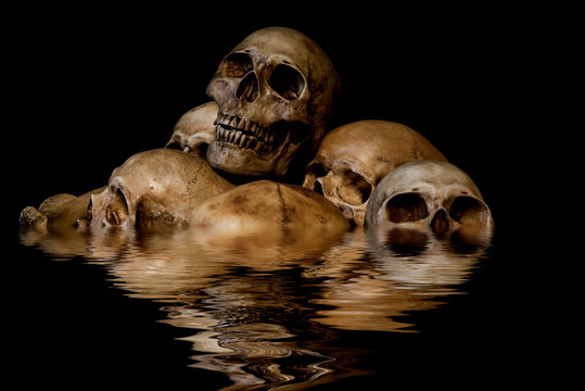 Pile of skulls and animal bones with water reflection. Genocides concept, creepy horror darkness halloween