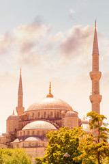 Fototapeta na wymiar Blue mosque of Istanbul