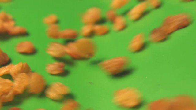 Raisins on a green background. 2 Shots. Vertical pan. Slow motion. Close-up.