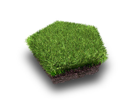 cross section of ground with grass isolated on white, 3d rendering