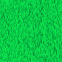 Green grass field pattern. Seamless vector background