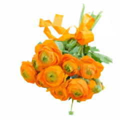 orange ranunculus flowers with ribbon