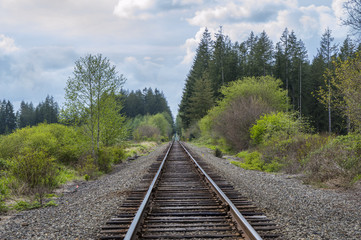 Rail road trough the forest