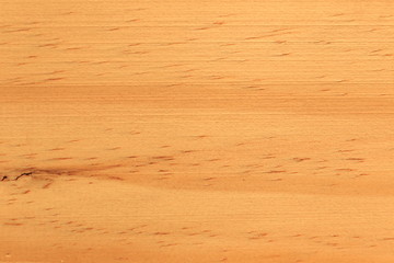 Background of wood texture closeup