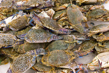 Fresh crabs on dispaly for sale during Sabah Farmers Day market.